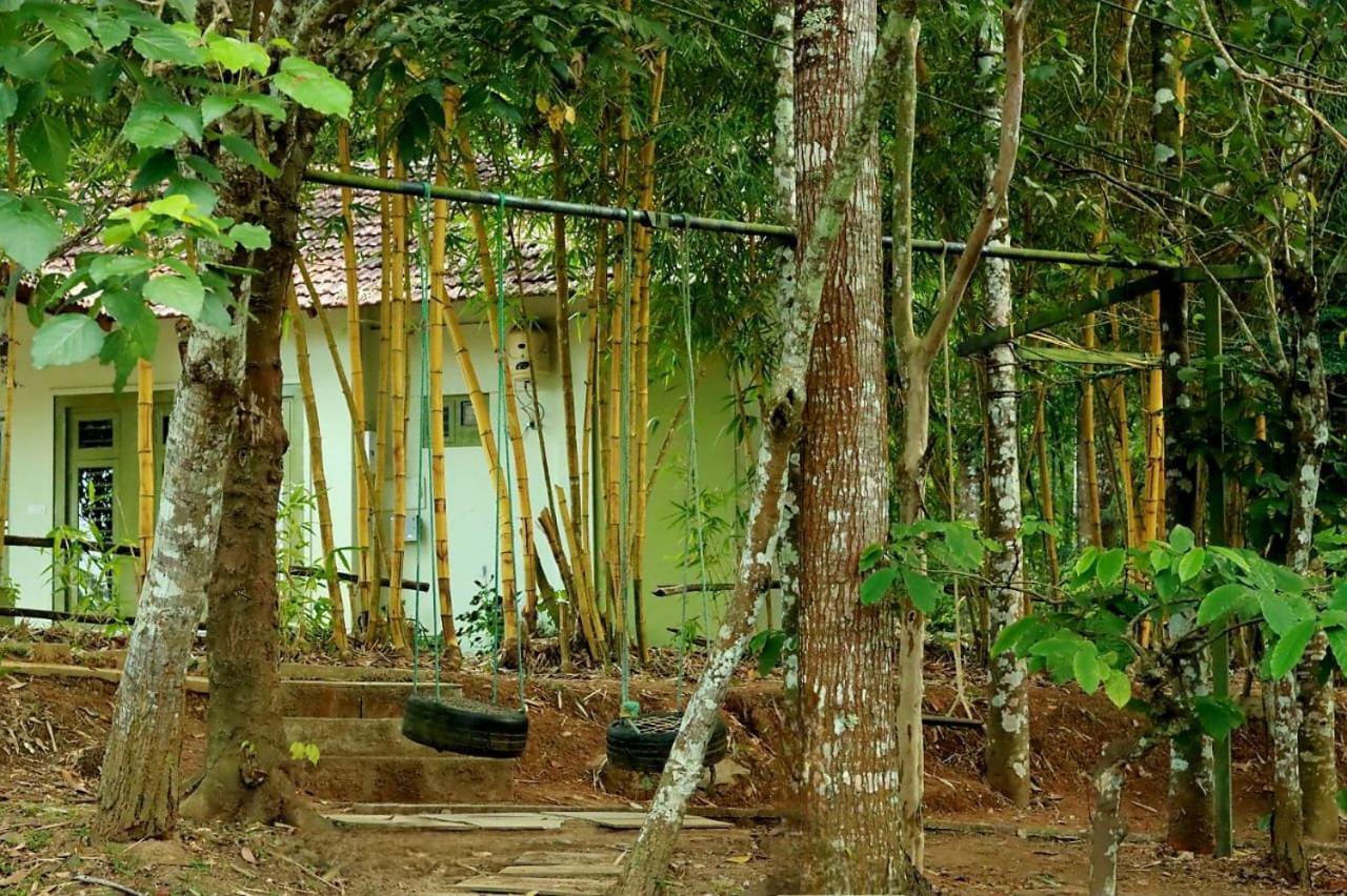 Ayurnest Pool Resort Wayanad Batheri 외부 사진
