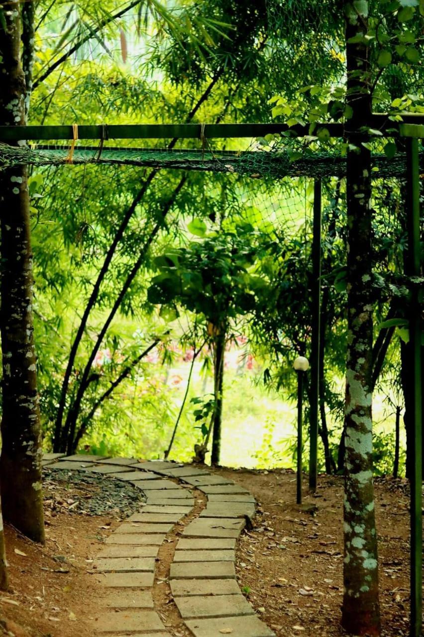 Ayurnest Pool Resort Wayanad Batheri 외부 사진