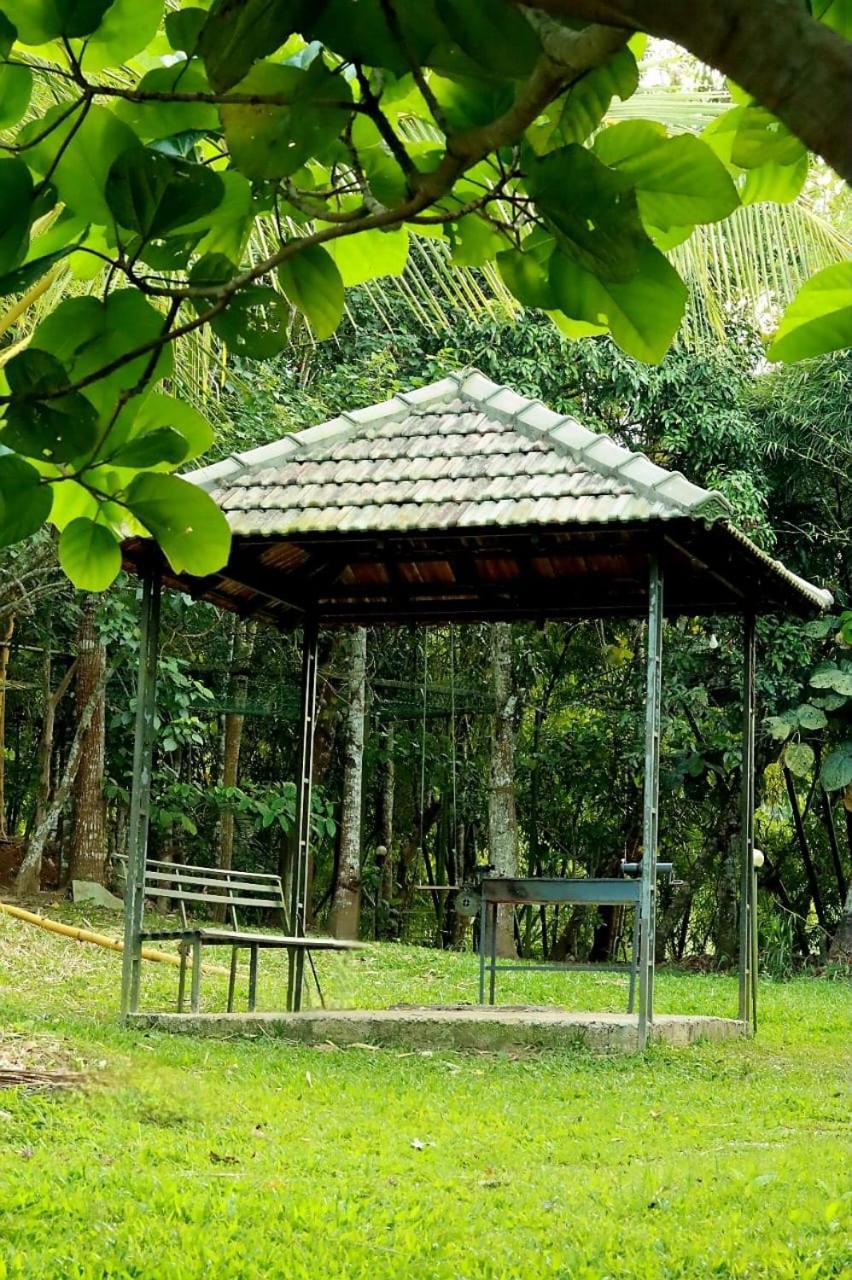 Ayurnest Pool Resort Wayanad Batheri 외부 사진